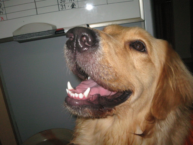 ファイル 322-5.jpg