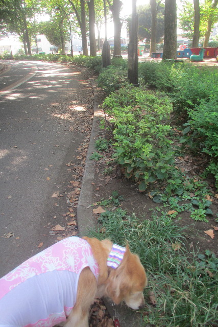 ファイル 3220-2.jpg