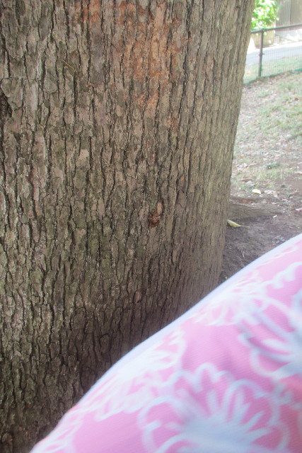 ファイル 3220-3.jpg