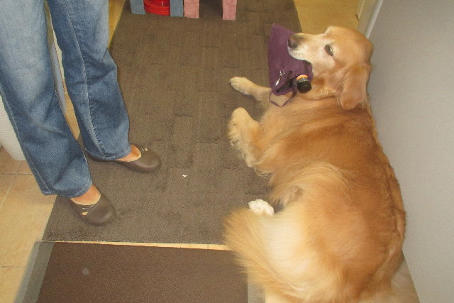 ファイル 3222-4.jpg