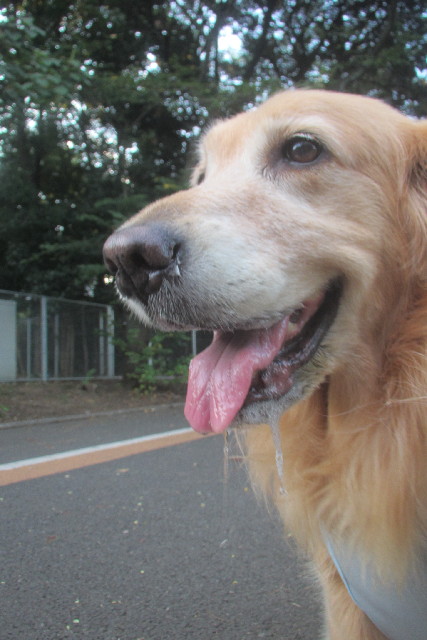 ファイル 3225-3.jpg