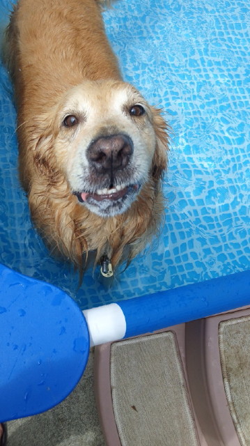 ファイル 3227-4.jpg