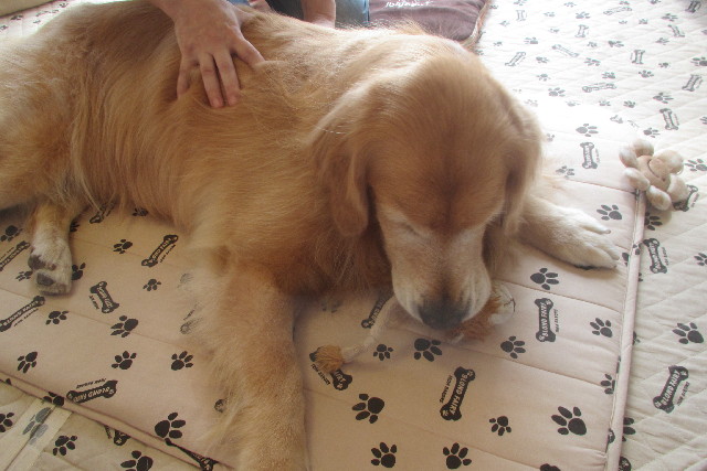 ファイル 3228-4.jpg