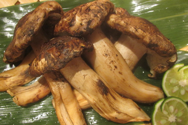 ファイル 3230-1.jpg