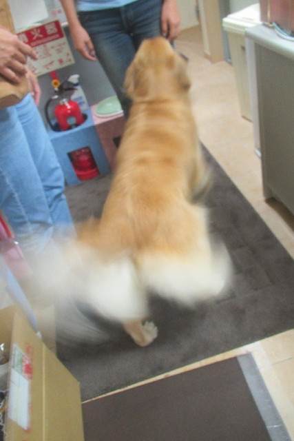 ファイル 3231-2.jpg