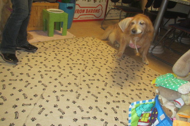 ファイル 3231-3.jpg