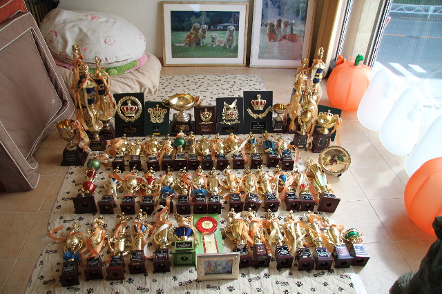 ファイル 3233-1.jpg