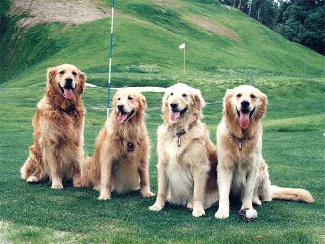 ファイル 3233-2.jpg