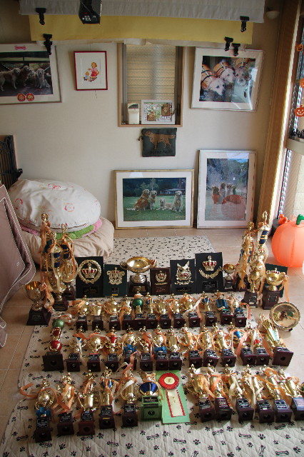 ファイル 3233-4.jpg