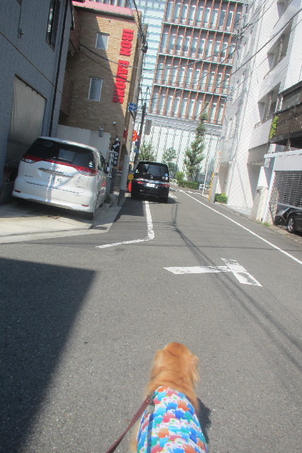 ファイル 3238-5.jpg