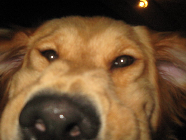 ファイル 324-2.jpg