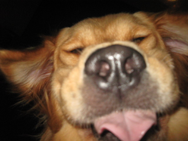 ファイル 324-3.jpg