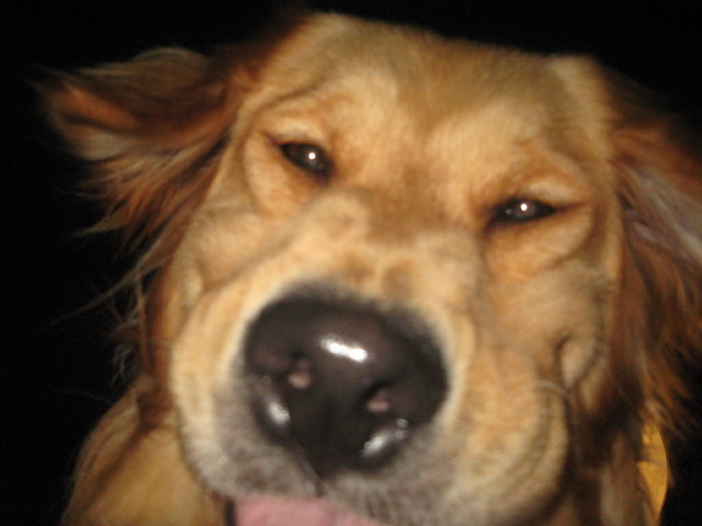 ファイル 324-4.jpg