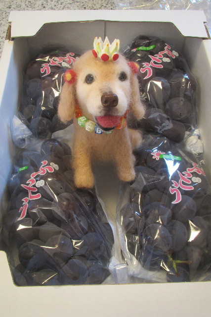 ファイル 3240-3.jpg