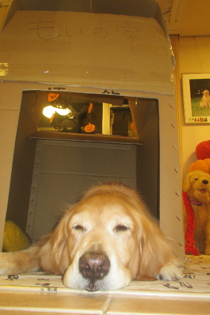 ファイル 3241-2.jpg