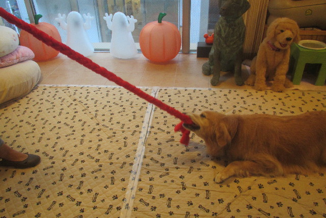 ファイル 3241-5.jpg