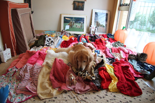 ファイル 3242-2.jpg