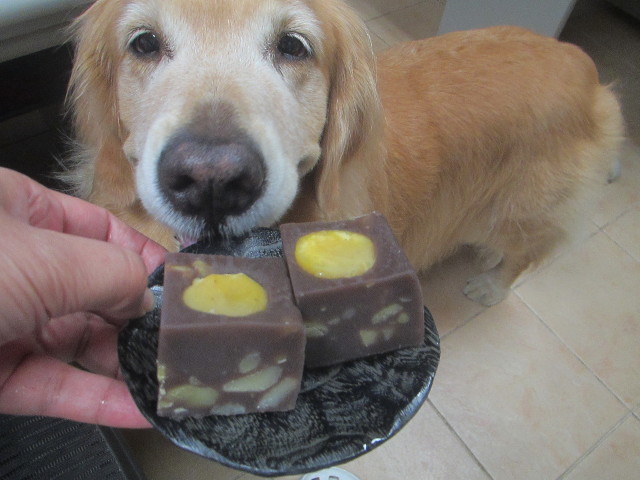 ファイル 3243-2.jpg