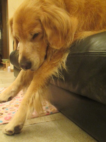 ファイル 3244-1.jpg