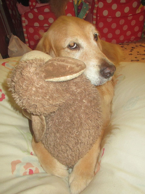 ファイル 3244-4.jpg