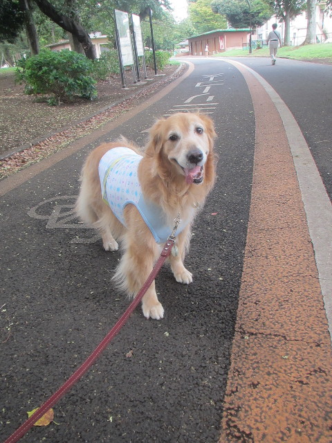 ファイル 3246-1.jpg