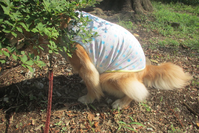 ファイル 3248-2.jpg