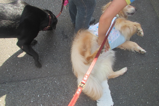 ファイル 3248-3.jpg