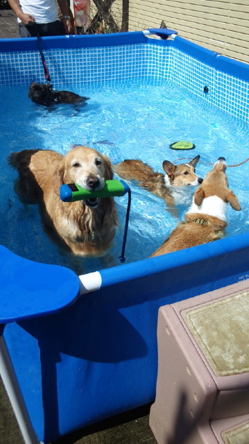 ファイル 3248-4.jpg