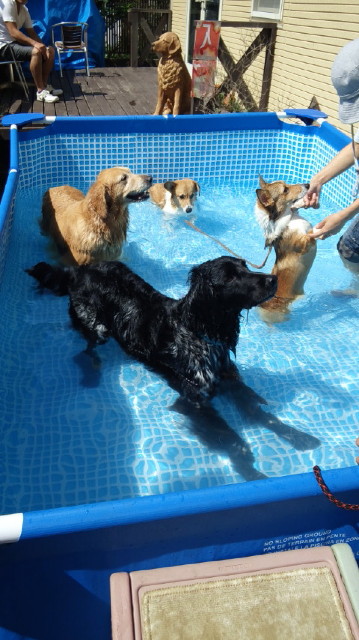 ファイル 3248-5.jpg