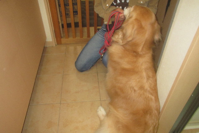 ファイル 3249-3.jpg