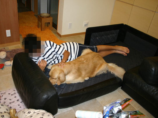 ファイル 325-2.jpg