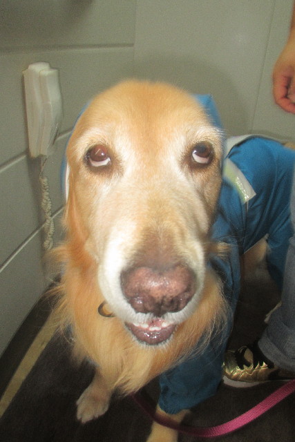 ファイル 3250-2.jpg