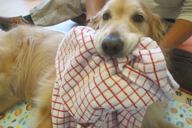 ファイル 3250-5.jpg