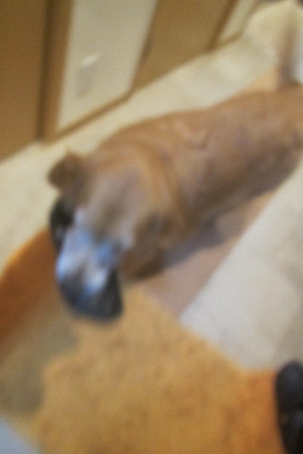 ファイル 3254-1.jpg