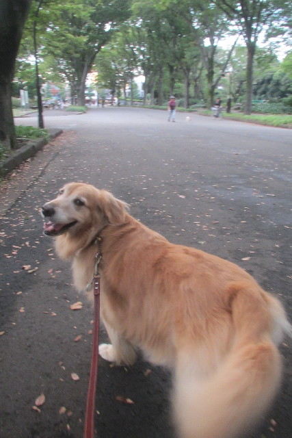 ファイル 3254-2.jpg