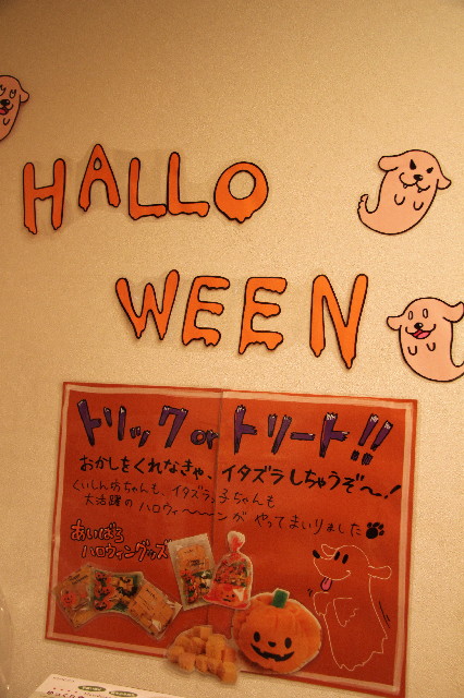 ファイル 3256-4.jpg