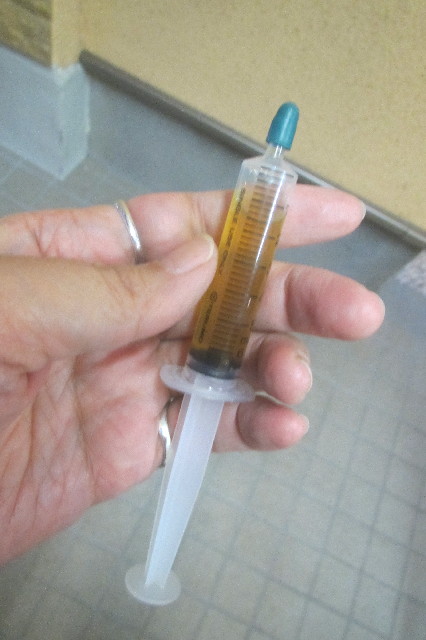 ファイル 3257-3.jpg