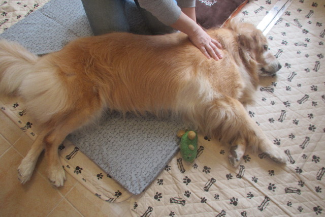 ファイル 3258-5.jpg