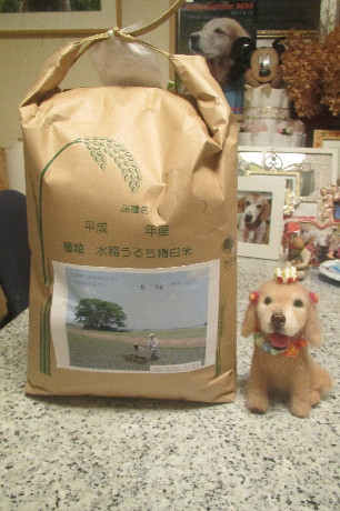 ファイル 3259-1.jpg