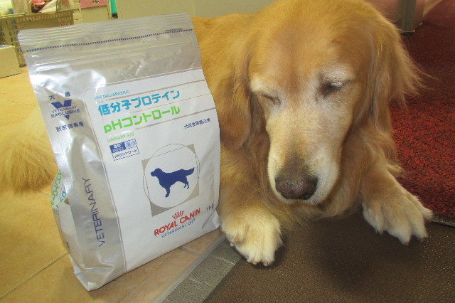 ファイル 3259-3.jpg