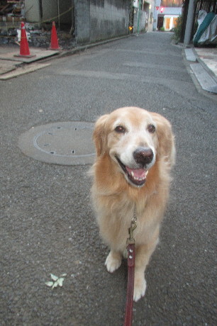 ファイル 3259-4.jpg