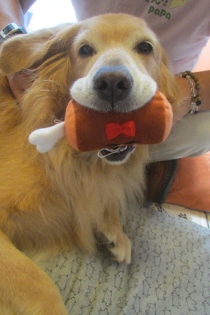 ファイル 3259-5.jpg