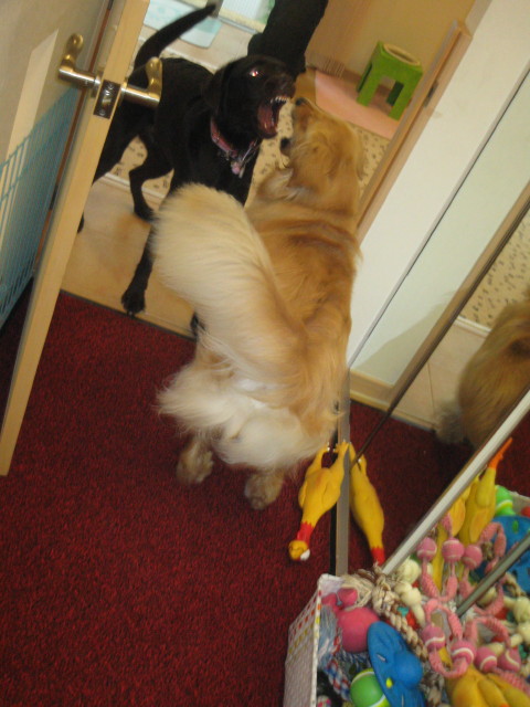 ファイル 326-1.jpg