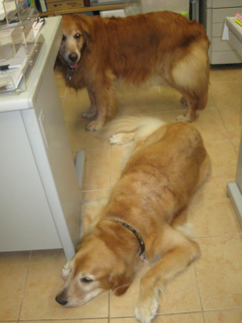 ファイル 326-5.jpg