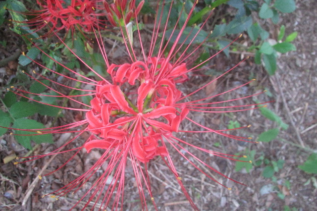 ファイル 3260-4.jpg