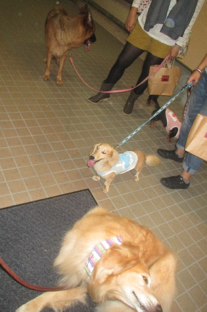 ファイル 3261-1.jpg