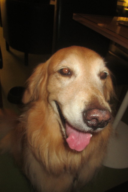 ファイル 3261-2.jpg