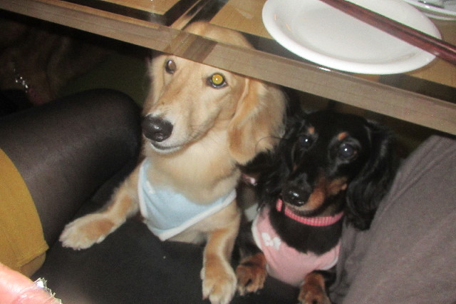 ファイル 3261-4.jpg