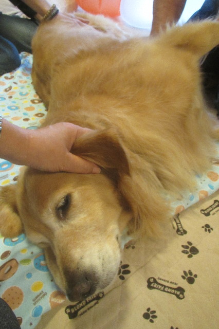 ファイル 3262-2.jpg