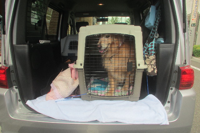 ファイル 3263-1.jpg